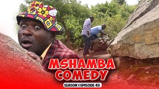 MSHAMBA Sn1 Ep43: BETRAYAL AND ABDUCTION: THE CELLE KIDNAPPING CONSPIRACY