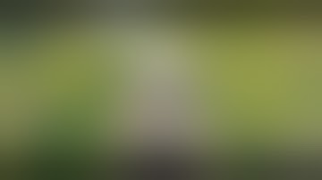 Offroad Bus Simulator 2020:Ultimate Mountain Drive ! Android Gameplay 🔥