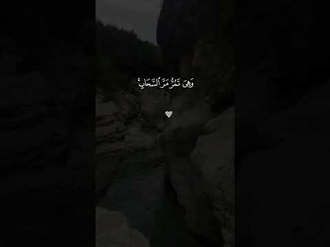 قران كريم اكتب شي تؤجر عليه تلاوة خاشعة سعد الغامدي صدقة جارية اذكرالله ايات قرانيه قصيره