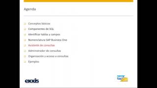 Creación de consultas en Sap Business One