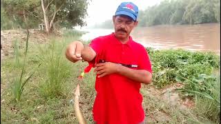 baam hunting fish Ali purr chatha part 2