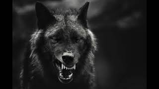 Dark Ambient Music &quot;The dark side of the wolf&quot;