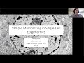 Danny conrad sample multiplexing in singlecell epigenomic assays