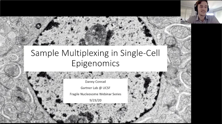 Danny Conrad: "Sample Multiplexing in Single-Cell ...