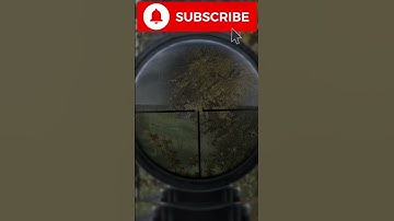 DayZ Console - Double Snipe With Mosin in Stary #dayz #shorts