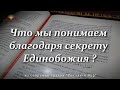 Что мы понимаем благодаря секрету Единобожия?