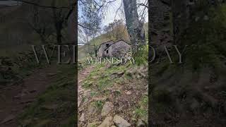🏠 Tres cabañas pasiegas en el valle más bonito de Cantabria