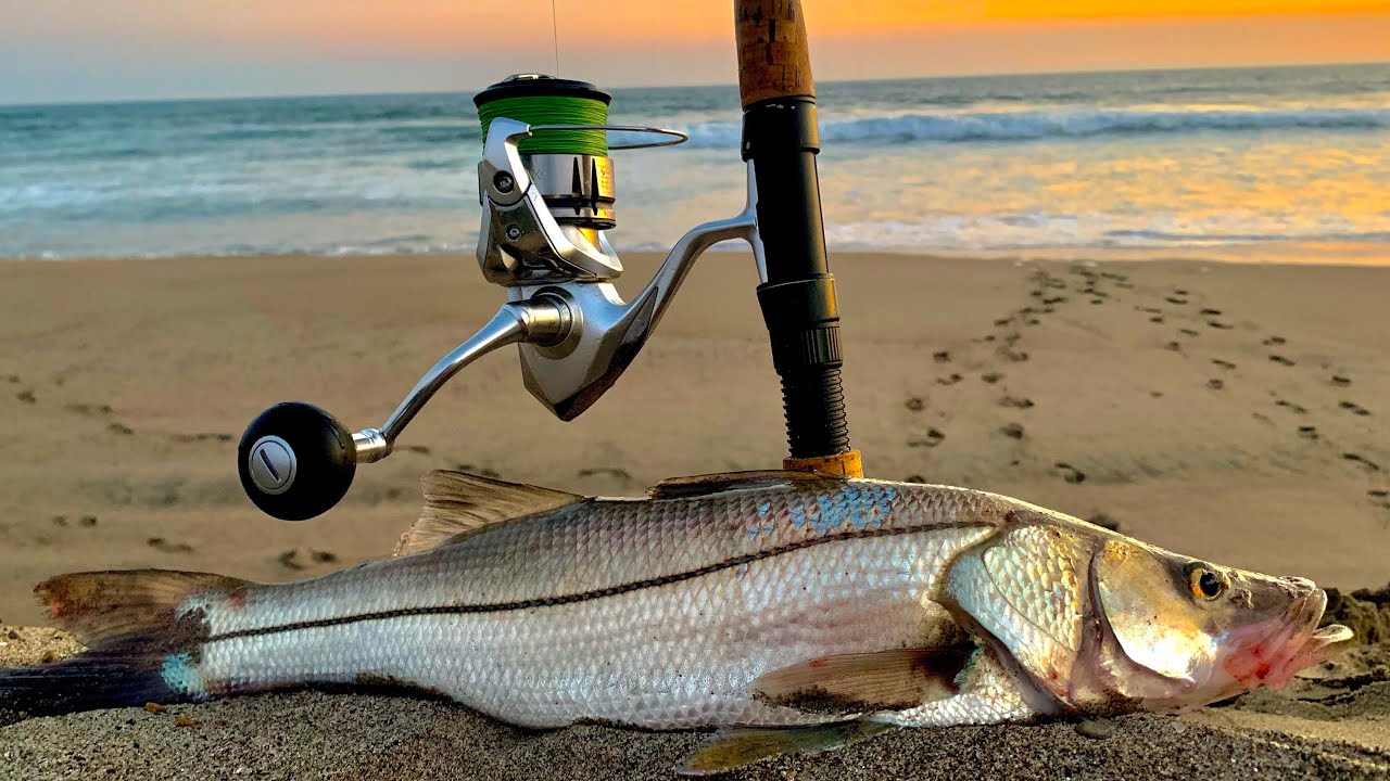 En El Mar, Pescando Con Una Caña De Pescar Desde La Orilla Fotos