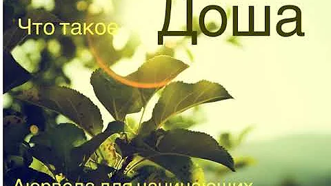Что такое ДОША. Аюрведа для начинающих.