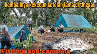 KEMBALINYA KEKEBUN SETELAH SEKIAN LAMA DI TINGGAL||LEMBAH KEBUN SARANG IKAN