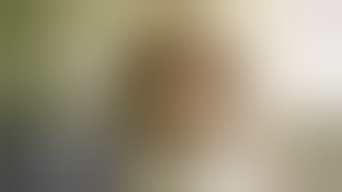 Dawn of the Dead (1978) • Mall Music/The Gonk • Herbert Chappell - WARNING: GRAPHIC VIOLENCE