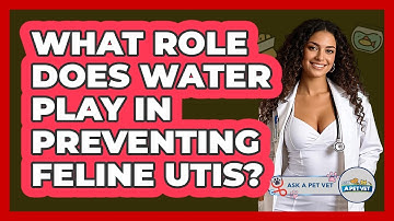 What Role Does Water Play In Preventing Feline UTIs? - Ask A Pet Vet