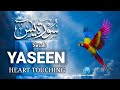 HEART TOUCHING SURAH YASEEN RECITATION WITH ARABIC TEXT سُورَةُ يٰسۤ THAT DEEPLY MOVES THE SOUL