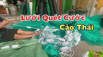 Lưới Quét Cước Cào Thái | Cao 3x75m 3cm | Chân Chì Đúc Lỗ Xuyên Tâm Chất Lượng.