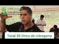 Urea orgnica 3 fuentes de nitrgeno juan jos paniagua sikkimapp aprende agricultura orgnica