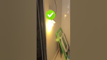 Đui đèn cảm biến chuyển động của Rạng Đông