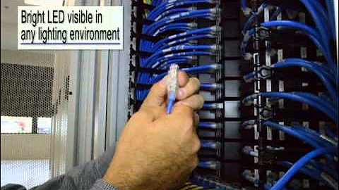 Belden Bonded-Pair Traceable Patch Cords