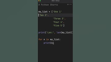 The WORST Bug You Can Get In Python 😈
