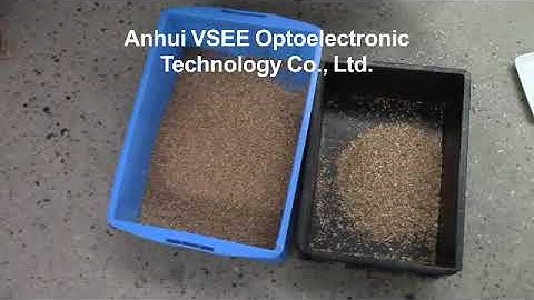 Vsee wheat color sorter first sorting