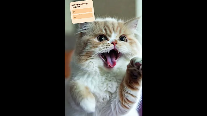 Video 11873271: persian cat meets, fluffy persian cat, cutest persian cat, beautiful persian cat, grooming