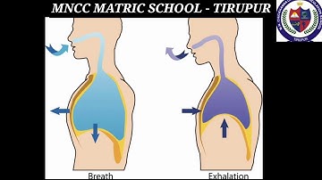 4TH STD SCIENCE- UNIT 1 (MY BODY) - PART - 1
