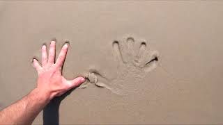 Essex Mosq - Chciałbym Znów Vitobigiboi X Rudxbwooy Remix Video