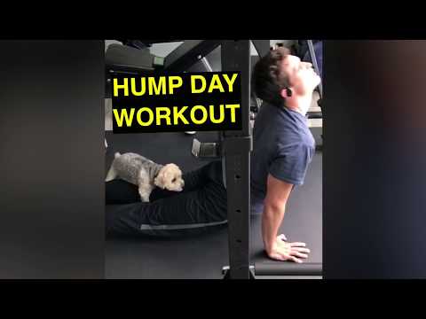 hump-day-workout