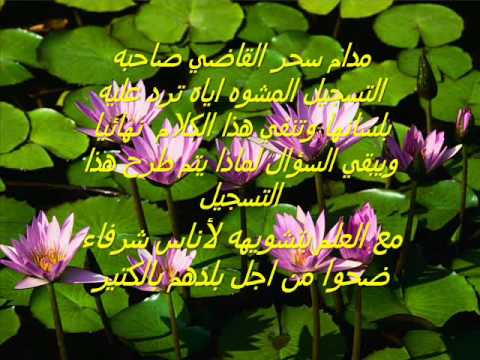 مدام سحر القاضي تنفي اشاعة احمد المصري