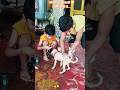 First video.. घर पर आया शेरु 🐶