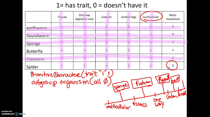 3-25 AP18 How to make a Cladogram