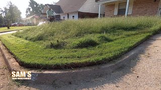 2 months no mow | Satisfying lawn mowing | Bagging WET grass | TALL grass mow | FREE