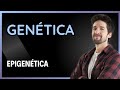 GENÉTICA: EPIGENÉTICA