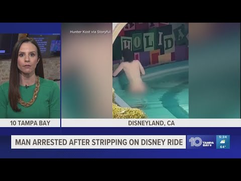 Man arrested after stripping on Disneyland ride