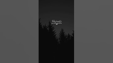 عبدالرحمن مسعد - سورة يونس | والله يدعو الى دار السلام #قران #اكسبلور #تلاوة_خاشعة #لايك #راحة_نفسية