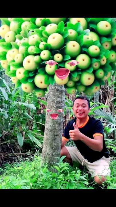 Survival Skillls Smart idea and Useful Fruit 🍑🍓 #bushcraft #outdoors #camping #skills