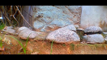 test zhiyun smooth C sample shot