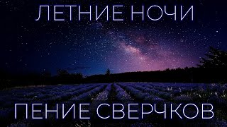 Летние ночи, поле, сверчки, деревня. Музыка для сна и релакса.