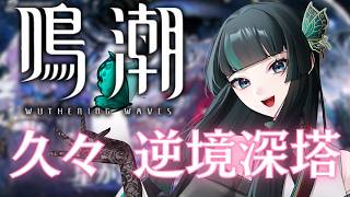翠蝶なゆさVtuberの配信のサムネイル画像