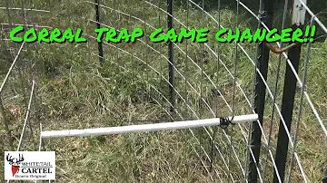 Corral Style Hog Trap: MUST SEE HACK!!!