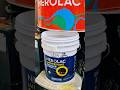 Nerolac Impressions Kashmir High Sheen #nerolacpaints #painting #art #Paint #Shorts #Trending #tint
