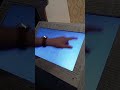 Прогулка в музей панк-рока