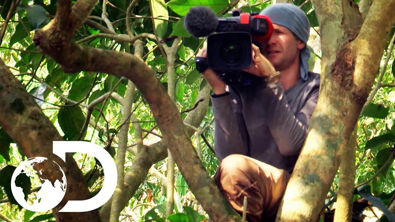 shocking definition Behind-The-Scenes With Discovery’s Cameramen
