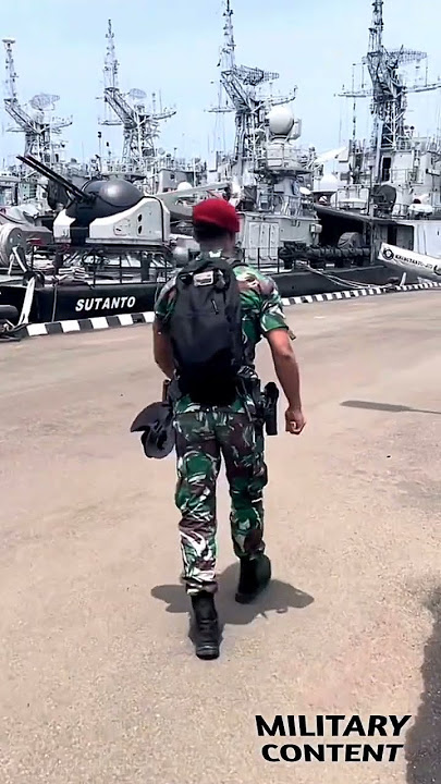 Sertu Rendy dari Satuan KOPASKA☠️ TNI AL🇮🇩 Atlit MMA PRO ONE PRIDE Sumberviti:@layfrog1