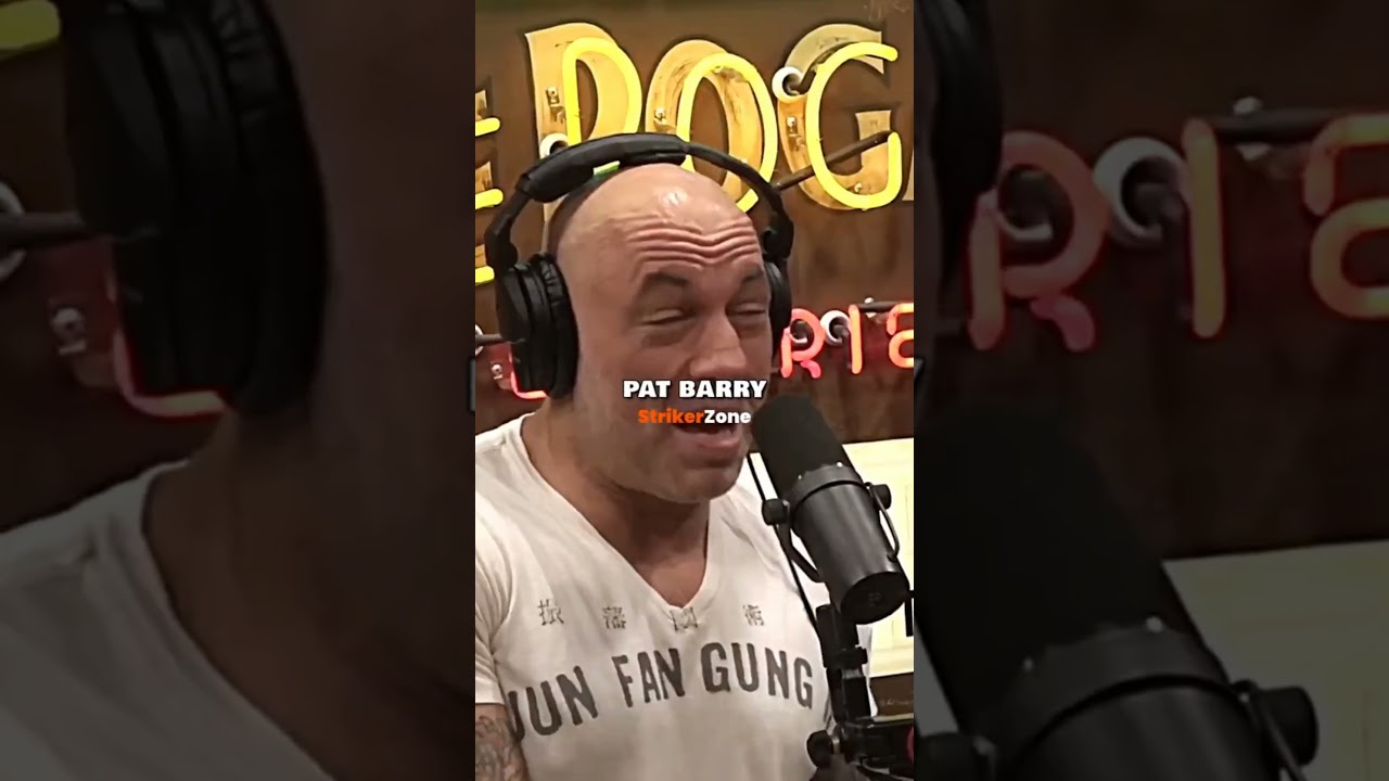 Cheick Kongo Was A Beast!🥊😤