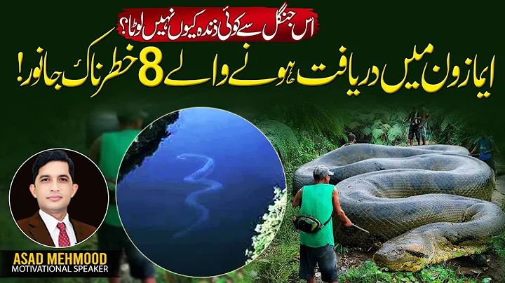Top 10 Most Dangerous Animals of the Amazon Jungle | Asad Mehmood