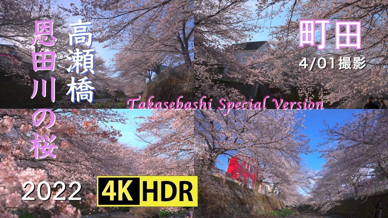 棗　立田川　桜と紅葉　流水　一后一兆　共箱　共布　R1692P2 maxresdefault.jpg