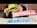 TOEICリスニング満点者がやってた勉強法／基本的編