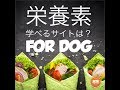 わんちゃんの食事の栄養素についてが学べる。おすすめなサイトのご紹介です！