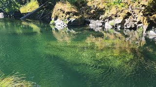 Rockhounding Clackamas River Oregon