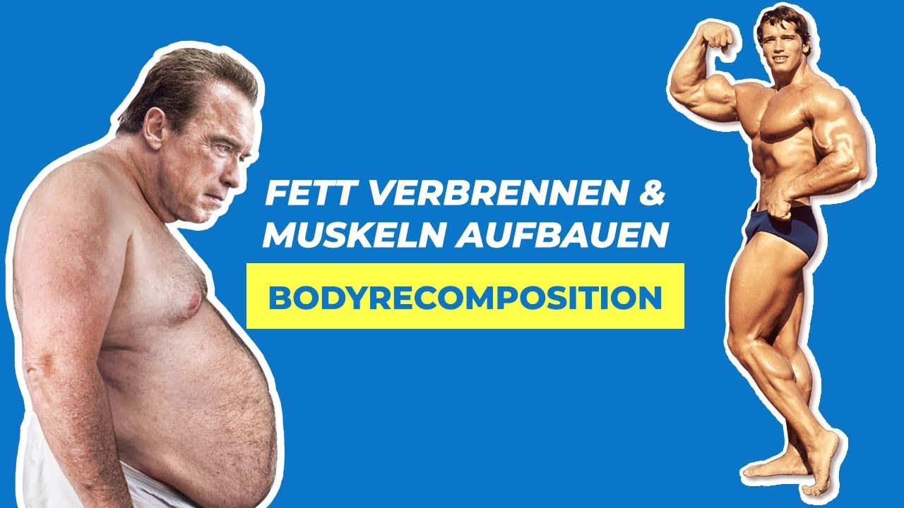Das beste Protein, um Fett zu verbrennen und Muskeln aufzubauen